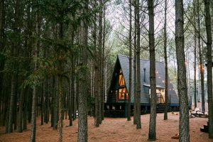 A vacation home nesteled in the woods typically offers higher returns as a short term rental than a long term due to its remote location.